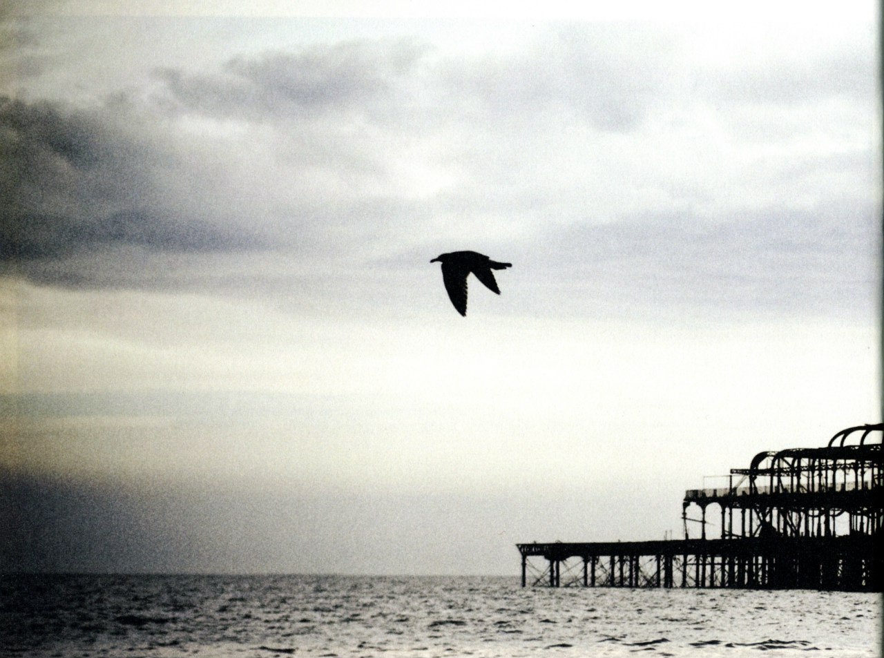 backgroundImage
